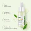 Green Tea Skin Care Sets For Women Beauty Health